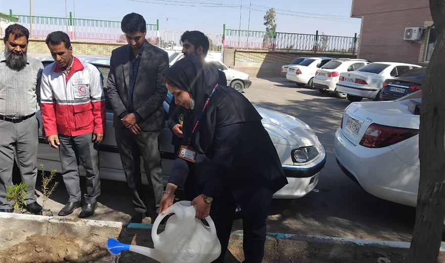 کاشت نهال در بیمارستان جواد الائمه (ع) نرماشیر به مناسبت ولادت حضرت زینب (س) و روز پرستار